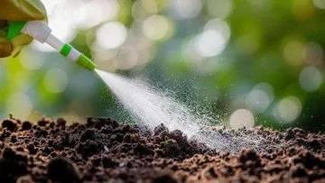 Paparan Pestisida Picu Risiko Parkinson Lebih Tinggi