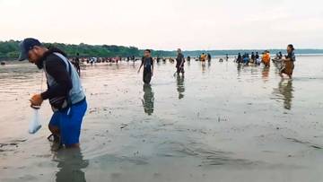 Masyarakat Kuanheun Menjaga Pantai Loles dengan Tradisi Lilifuk