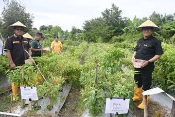 Bupati Kupang Hadiri Panen Cabai di SMAN 1 