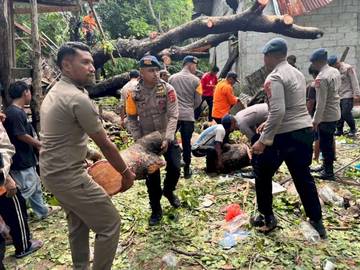 Brimob NTT Sigap Tanggap Pohon Tumbang di Belu