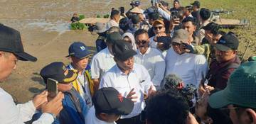 Mentan dan Ketua Komisi IV DPR-RI Tinjau Sawah