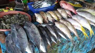 Kolesterol Tinggi, Pilih Ikan Laut atau Tawar