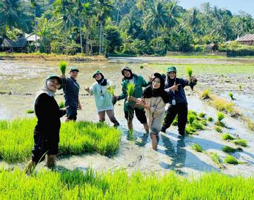 Aksi Nyata KKN-Unimal Kelompok 54 Disawah Cot Trieng