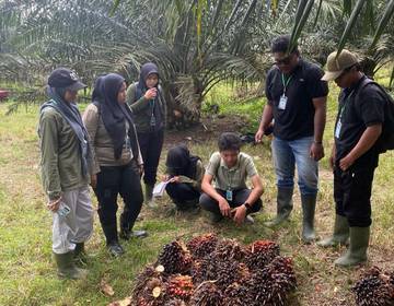 Mahasiswa Agroekoteknologi Unimal Pelajari Budidaya Sawit