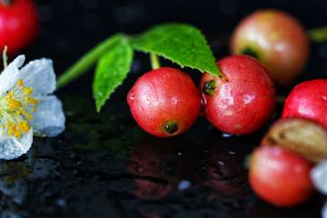 Kerseng Buah Manis Bermanfaat Untuk Diabetes