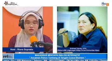 Ancaman Pohon Tumbang di Kota Makassar Kian Nyata   