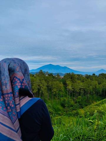 Utamakan Keselamatan, Tips Aman Mendaki Gunung Pemula