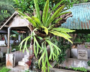 Makam Ki Ageng Gribig Siap Jadi Wisata Religi