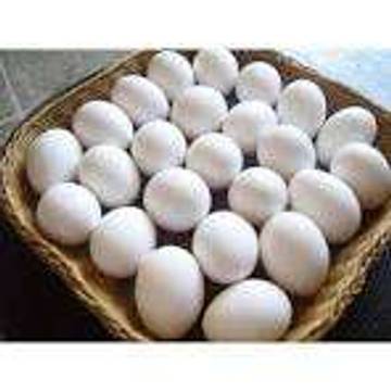 Manfaat Telur Ayam Kampung Bagi Kesehatan