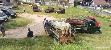 Pasar Hewan Blante Kawangkoan Aman Akhir Tahun