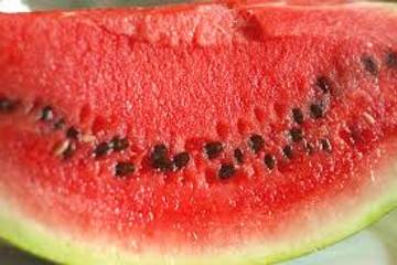 Biji Buah Superfood Kaya Antioksidan dan Serat 