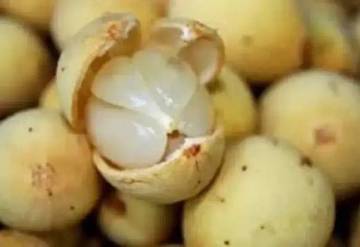 Duku, Buah Kecil Manfaatnya Besar