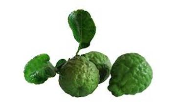 Jeruk Purut, Buah Aromatik Sumber Antioksidan Alami