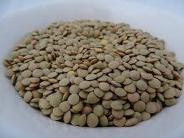 Lentil Superfood Kaya Nutrisi, Kaya Protein Nabati