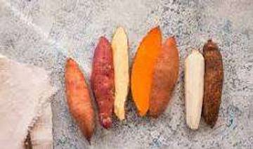 Makanan Diet Pengganti Nasi