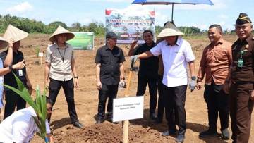 Kejati Sulut Tanam Kelapa,  Dukung Ketahanan Pangan