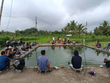 Warga Loteng Sambut Tahun Baru dengan Mancing Bersama Keluarga