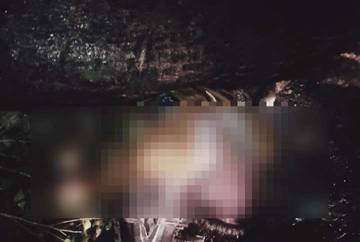 Warga Bima Meninggal Dunia Karena Tertimpa Pohon Besar 