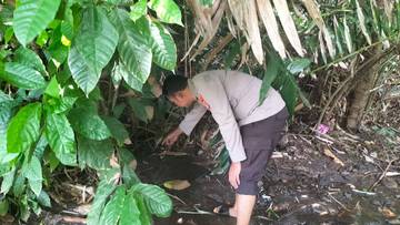 Mayat Bayi Laki-Laki Ditemukan di Kali Koak Sekarteja Selong