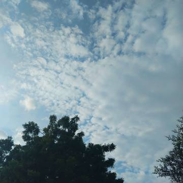 Cerah Berawan dan Berpotensi Turun Hujan