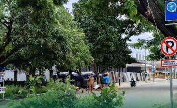  Angin Kencang, DLH Kota Bima Pangkas Dahan Pohon