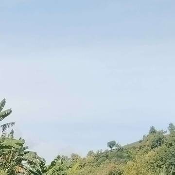 Cuaca Berawan, Hujan Berpotensi Siang Hari