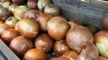 Bumbu Dapur dengan Segudang Manfaat Kesehatan