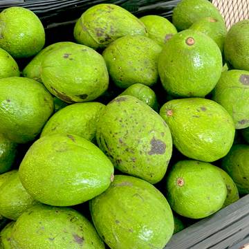 Ragam Manfaat Alpukat untuk Kesehatan Tubuh