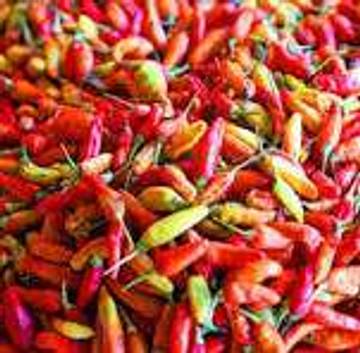 Harga Jual Cabe Di Merauke Semakin Meningkat