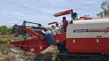 Panen Perdana Cetak Sawah Rakyat Kampung Isanombias 