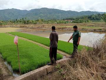 Babinsa Kodim 0110/Abdya Dialog Dengan Petani Pemanfaatan Lahan 