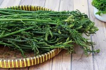 Manfaat Sayur Pakis Bagi Kesehatan