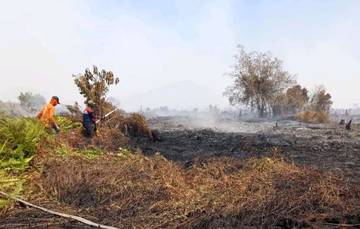 Update, Karhutla di Aceh Barat Hanguskan 17 Hektare