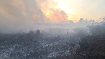 Sudah 19 Hektar Karhutla di Aceh Barat 