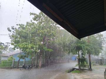 BMKG Peringatkan Hujan Lebat Disertai Angin di Nabire