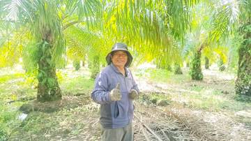 Petani Sawit Nisel Olah Lahan Tidur Jadi Produktif