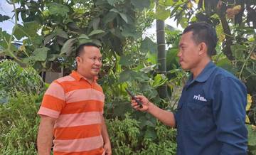 Potensi Bertanam Semangka Di Nisel Menjajikan