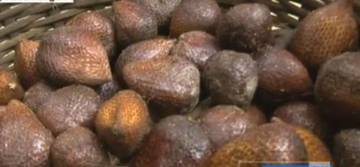 Khasiat Buah Salak untuk Kesehatan
