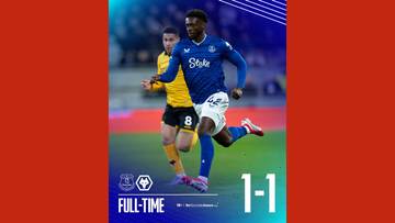 Dua Kartu Merah Warnai Hasil Everton Melawan Wolves