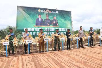 Bupati Pulpis Hadiri Panen Jagung Serentak Polda Kalteng