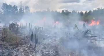 Karhutla Kembali Meningkat di Palangka Raya