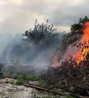 Status Siaga Karhutla Kotim Berdasarkan Penurunan Air