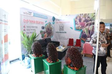 Gubernur Sumsel Dorong Sinergi Atasi Pencurian TBS Sawit