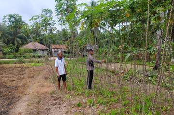 Bhabinkamtibmas Makarti Jaya Dampingi Warga Tanam Singkong