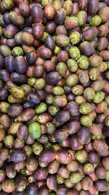 Matoa, Buah Manis dari Timur Nusantara