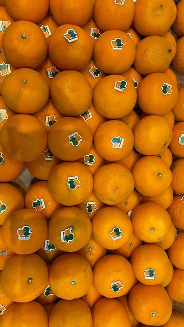 Wogan Dino, Buah Eksotis Kaya Manfaat