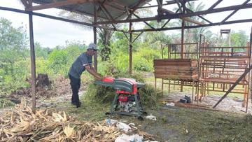 Kilang Dumai Perkuat Ketahanan Pangan dan Pemberdayaan Petani 