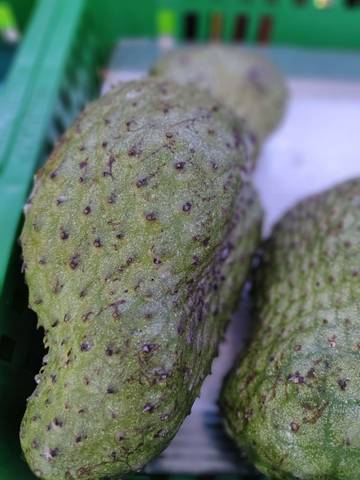 Mencegah Kanker, Ini Manfaat Buah Sirsak