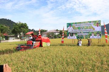 Pemprov Kalbar Targetkan Produksi Mandiri Padi Masyarakat Kalbar