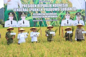 Pemprov Kalbar Targetkan Produksi Mandiri Padi